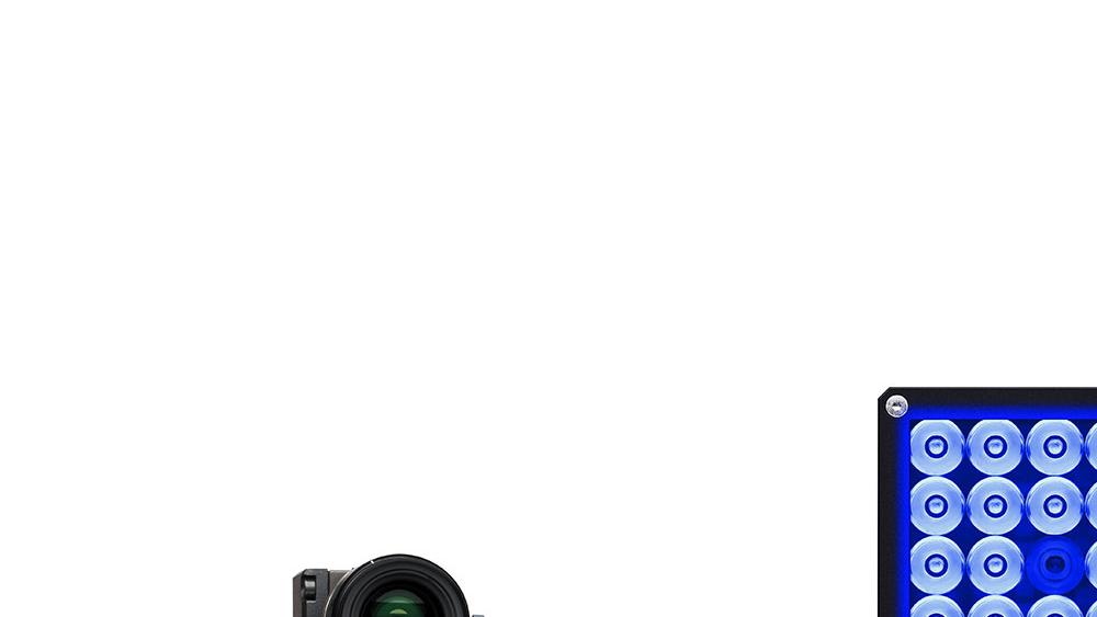 ARAMIS Adjustable
